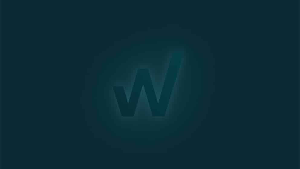 Investing in the Web
